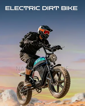 New F30 Electric Bike 1800watts Peak 20ah 50km/Hr Speed