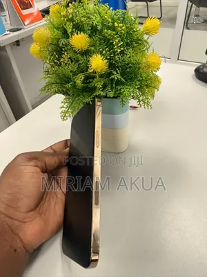 Apple iPhone 13 Pro Max 128 GB Gold