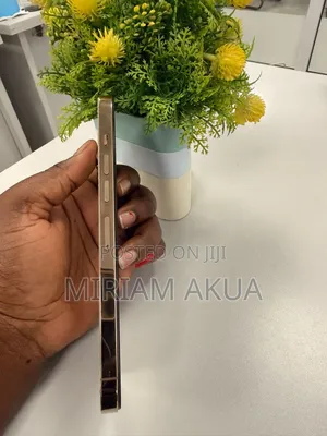 Apple iPhone 13 Pro Max 128 GB Gold