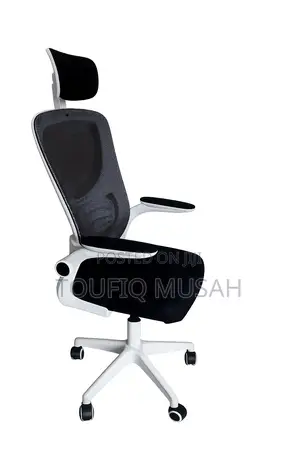 Office/Gaming Chair