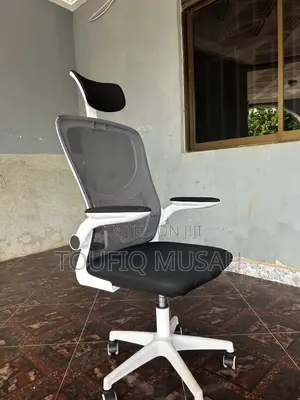 Office/Gaming Chair