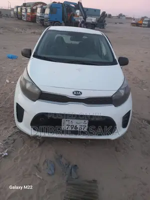 Kia Picanto 2019 White