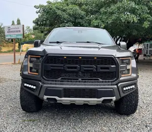 Ford F-150 2019 Gray