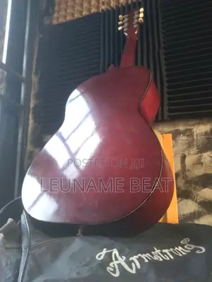 Professional 4x4 38 Inches Acoustic Guitar With Bag.
