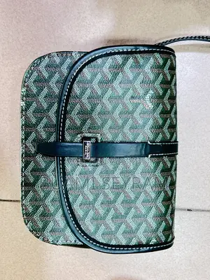 Goyard Red Exotic Bag