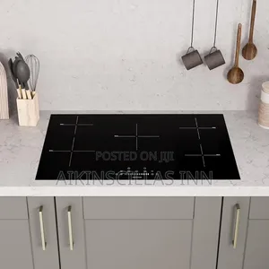 5in1 Induction Stove