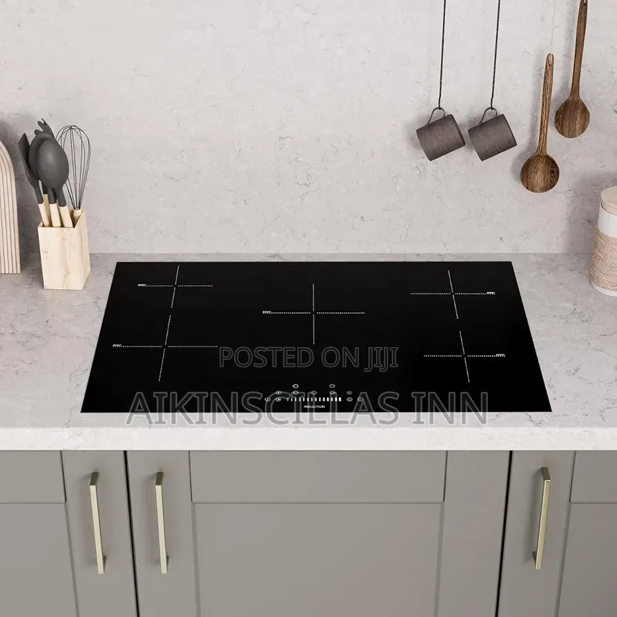 5in1 Induction Stove