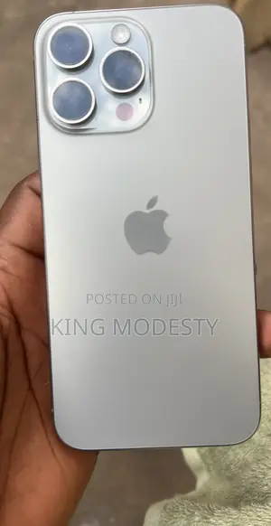 Apple iPhone 14 Pro Max 256 GB Silver