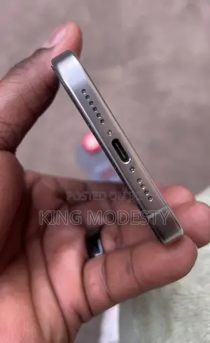 Apple iPhone 14 Pro Max 256 GB Silver