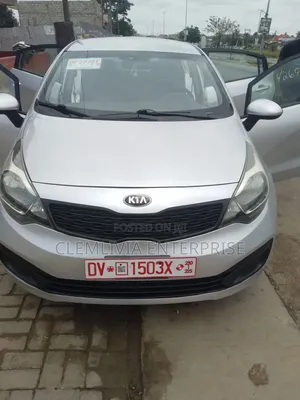 Kia Rio EX 4dr Sedan (1.6L 4cyl 6A) 2014 Silver