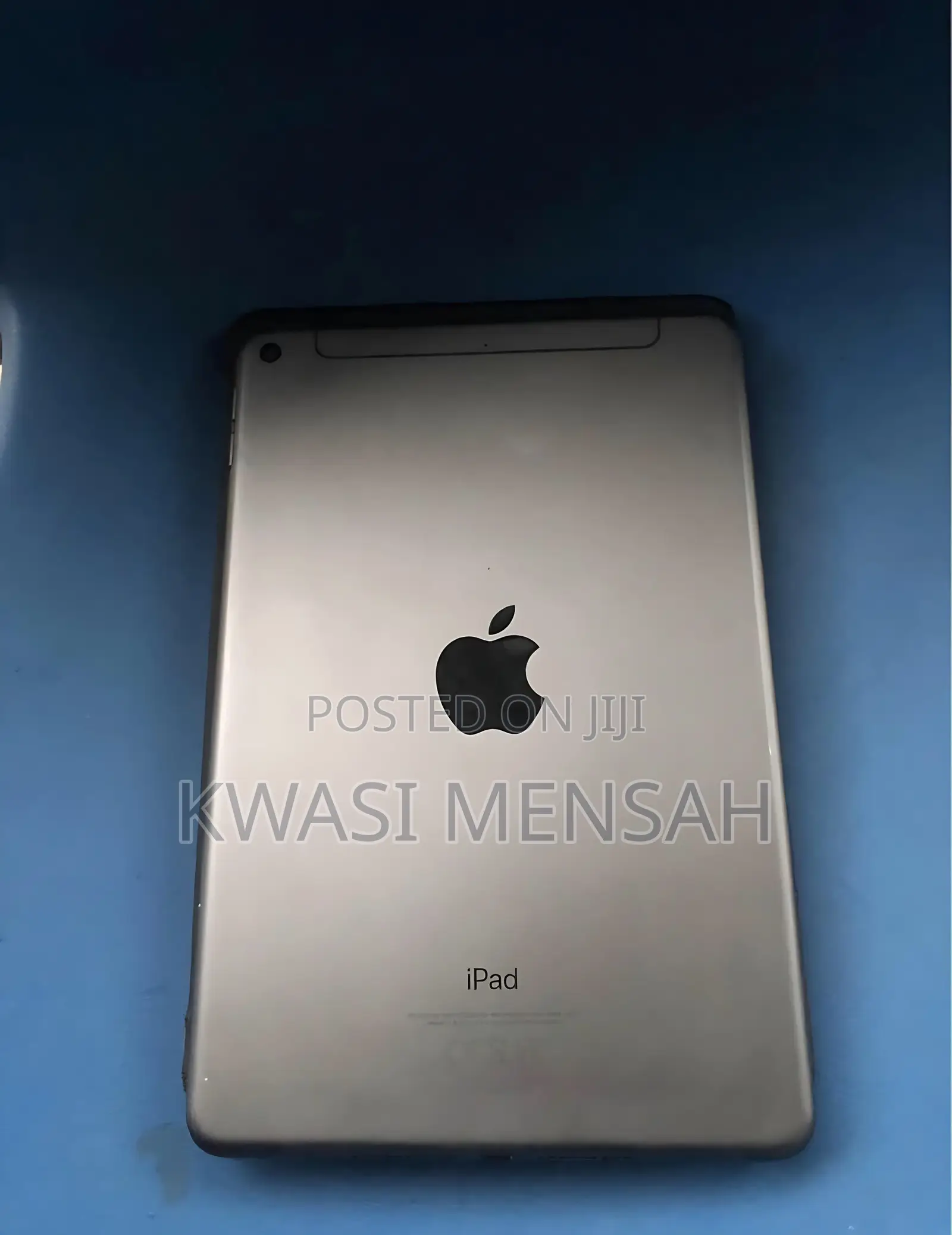 Apple iPad mini 5 64 GB Gray