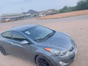 Hyundai Elantra 2013 Gray