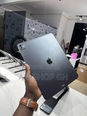 Apple iPad Pro 13 (2024) 256 GB Gray