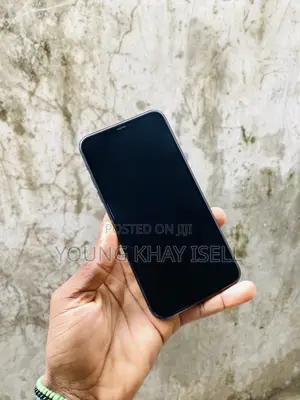 Apple iPhone 11 Pro Max 256 GB Green
