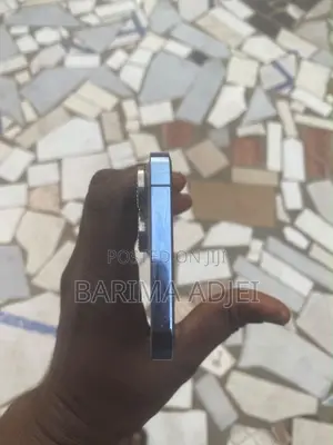 Apple iPhone 13 Pro Max 256 GB Blue