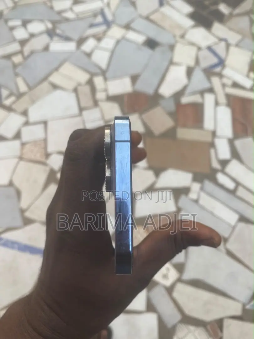 Apple iPhone 13 Pro Max 256 GB Blue