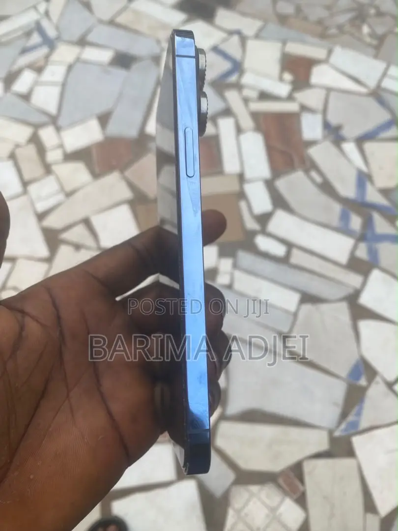 Apple iPhone 13 Pro Max 256 GB Blue