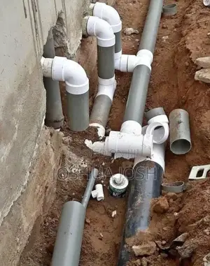 Professional Plumber