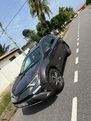 Toyota RAV4 XLE AWD (2.5L 4cyl 6A) 2016 Gray