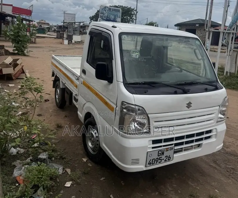 Suzuki Mini Truck