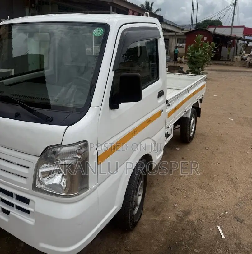 Suzuki Mini Truck