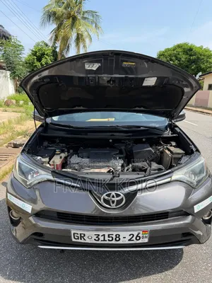 Toyota RAV4 XLE AWD (2.5L 4cyl 6A) 2016 Gray