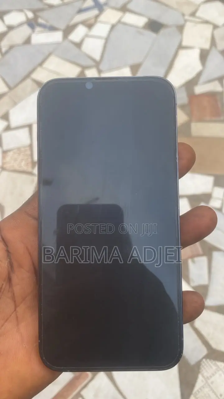 Apple iPhone 13 Pro Max 256 GB Blue