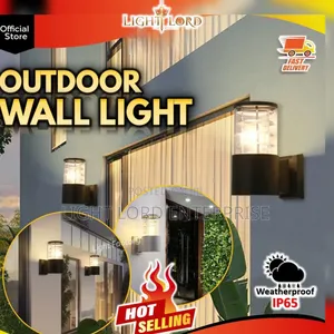 Reflector Wall Light