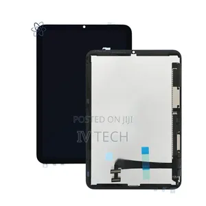iPad Mini 6 Screen