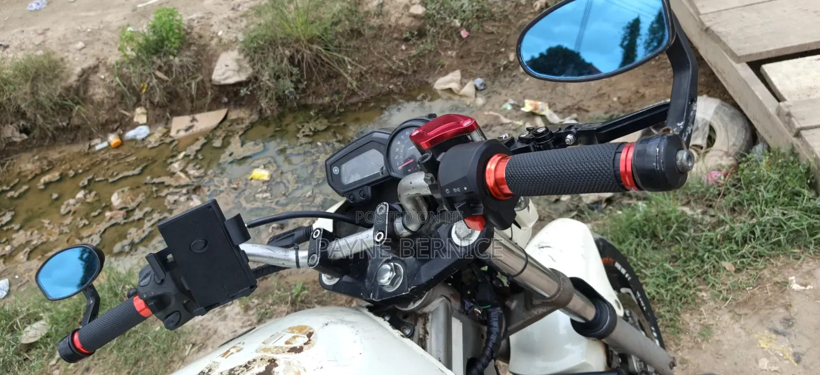 Yamaha FZ6 2025 White
