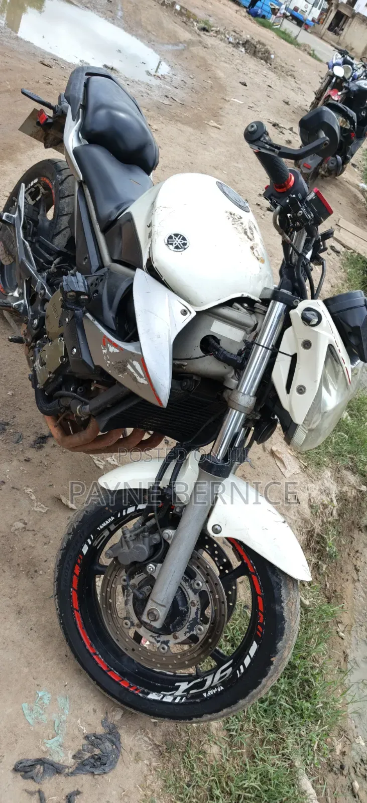 Yamaha FZ6 2025 White