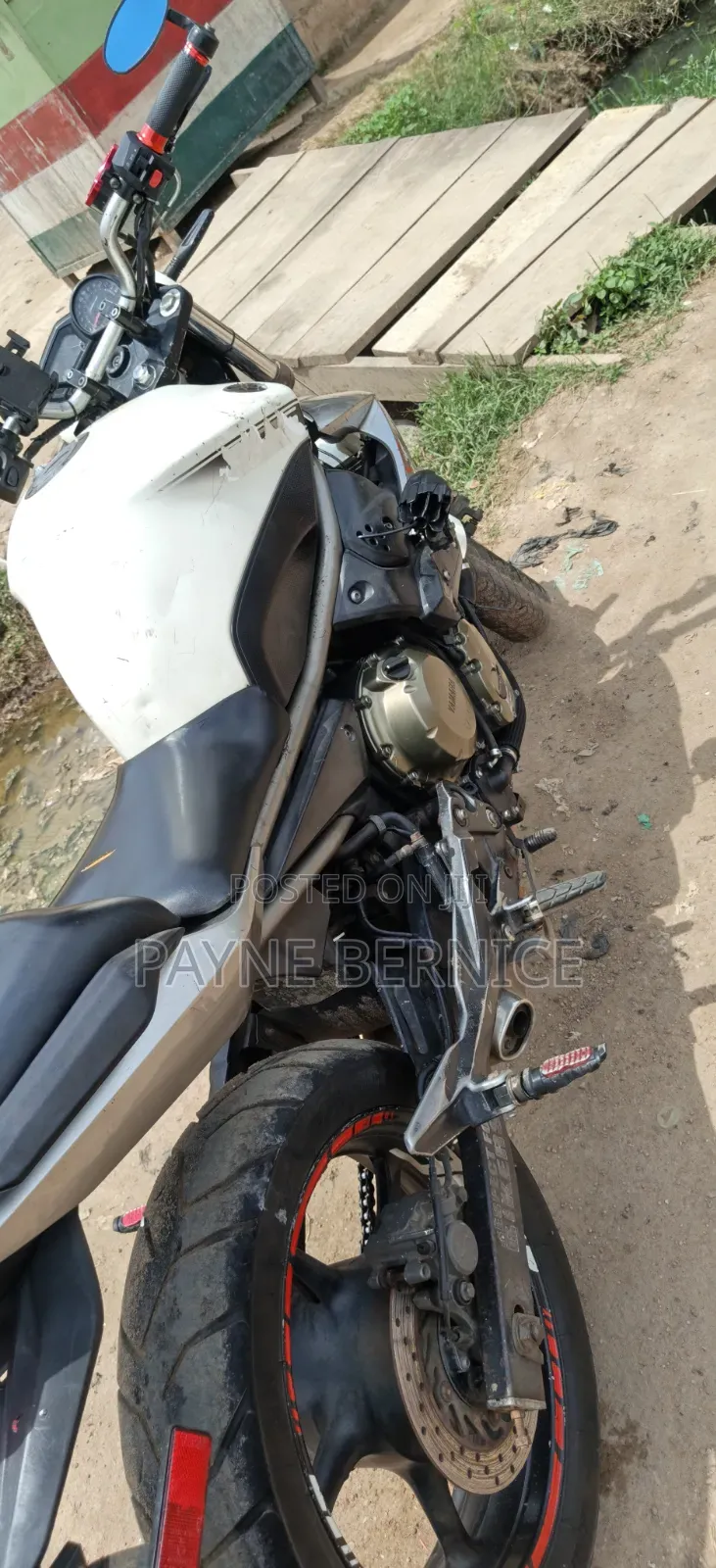 Yamaha FZ6 2025 White