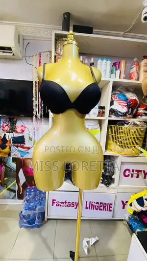 T-shirt Push Up Bra (Plunge ) -