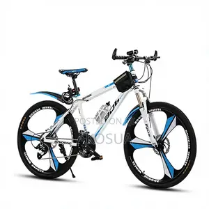 Mountain Bicycle