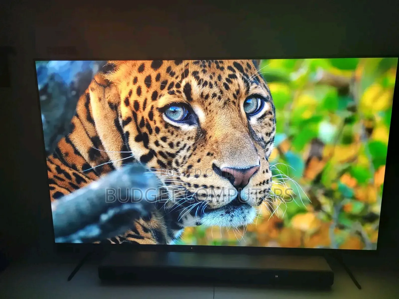 Sony Smart Oled Tv