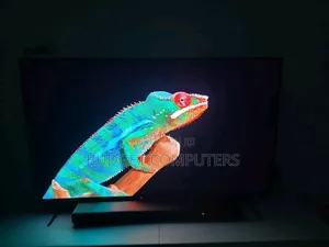 Sony Smart Oled Tv