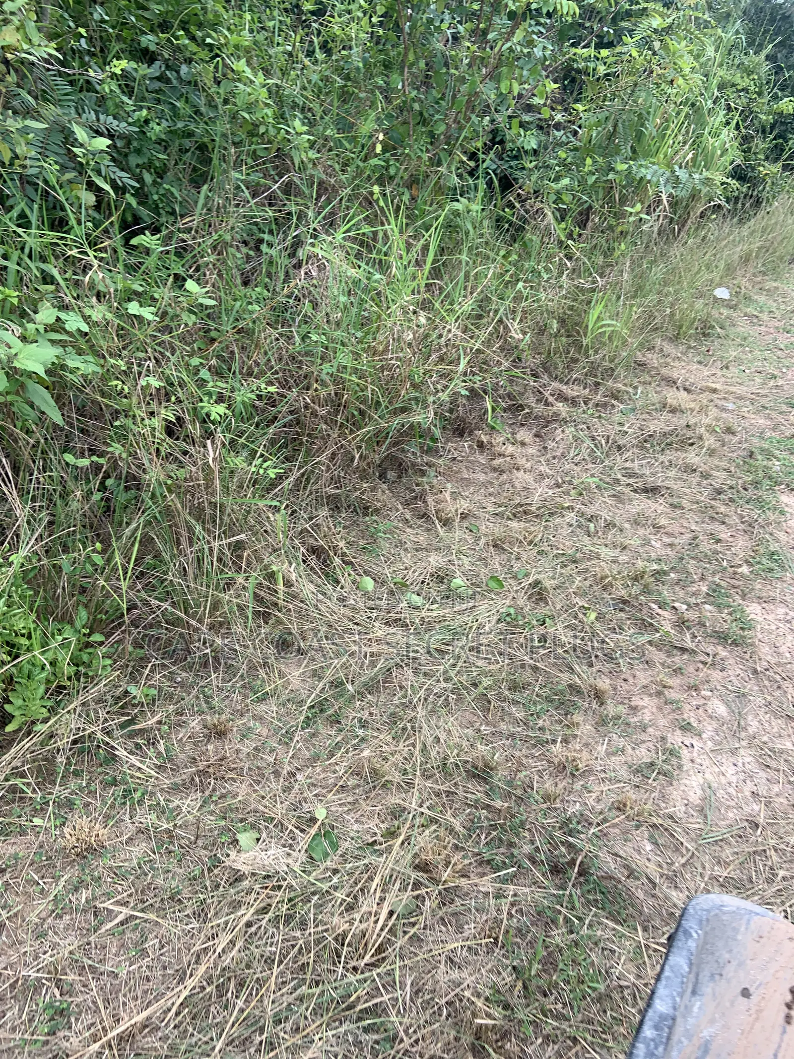 2 Plot of Land