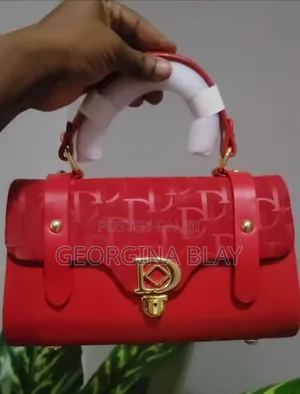 Classy Luxury Ladies Bag