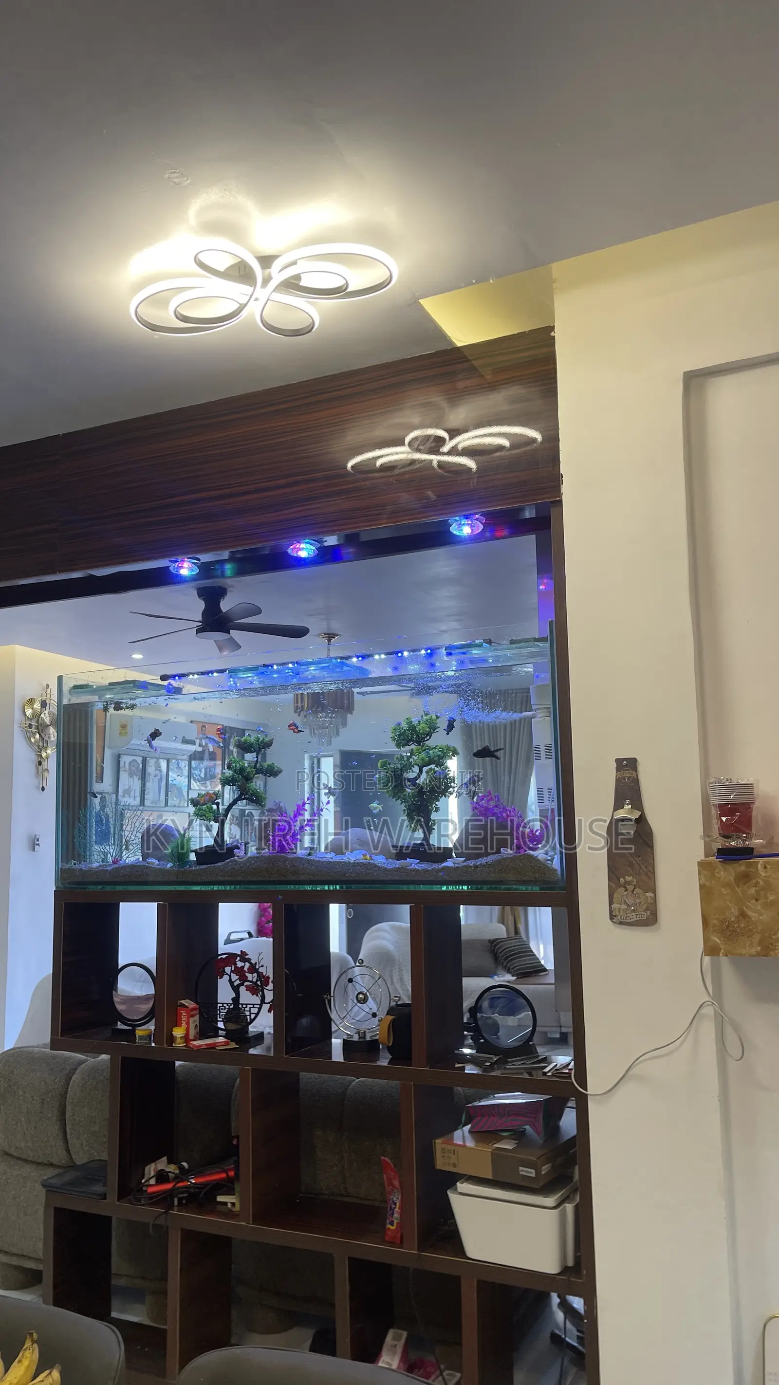 Shelves Mount Aquarium With Fishes