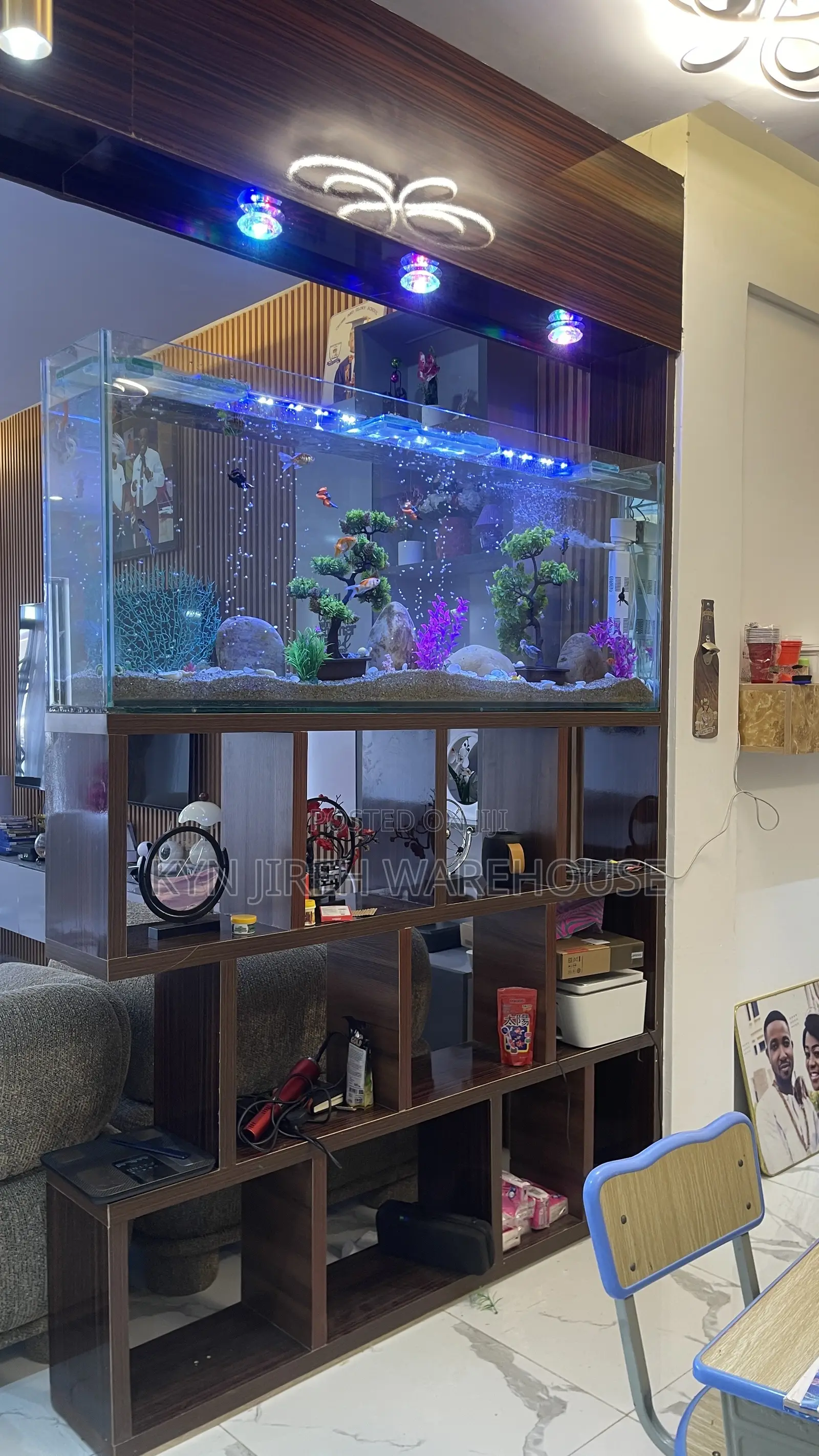 Shelves Mount Aquarium With Fishes
