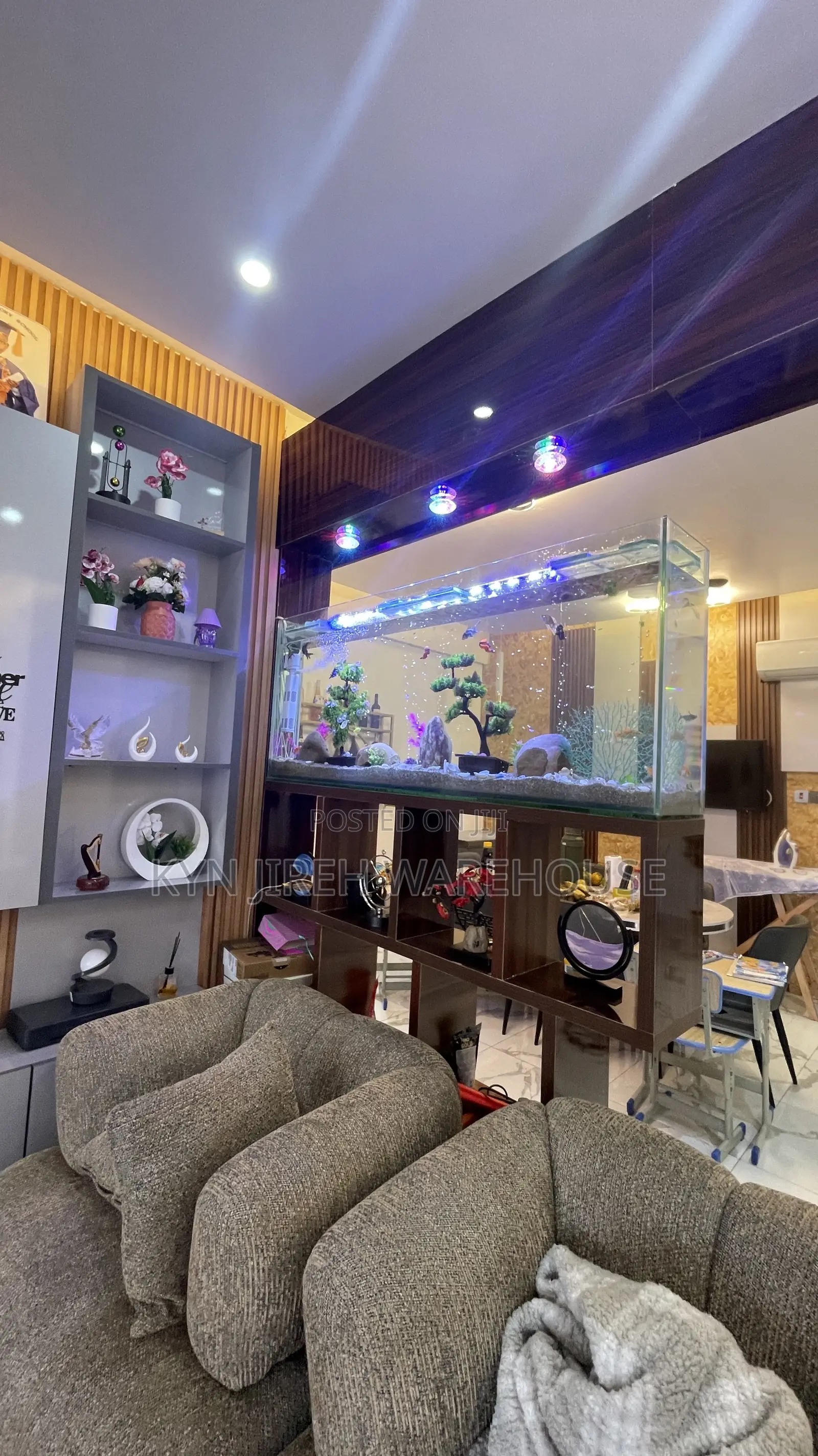 Shelves Mount Aquarium With Fishes