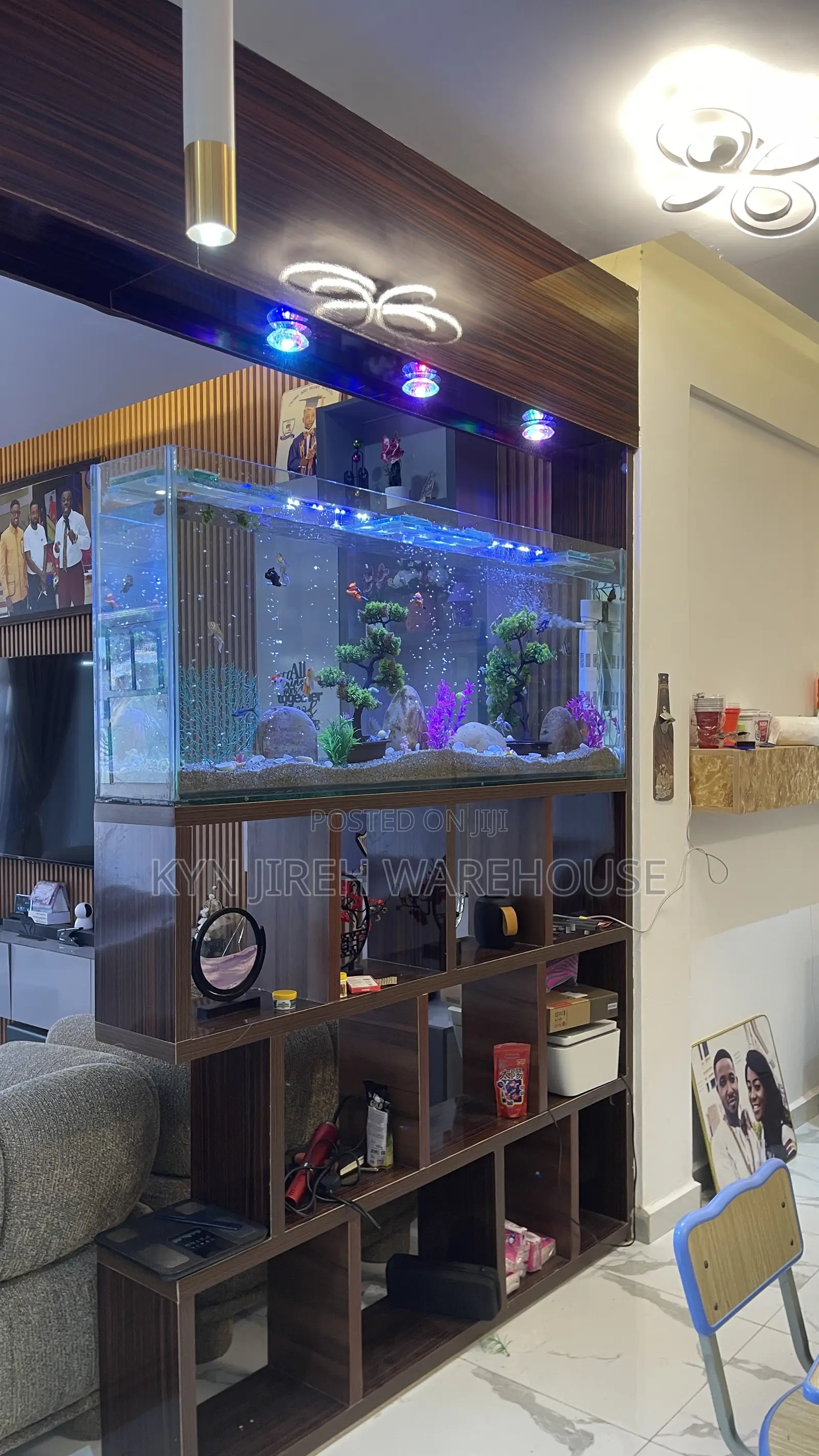 Shelves Mount Aquarium With Fishes