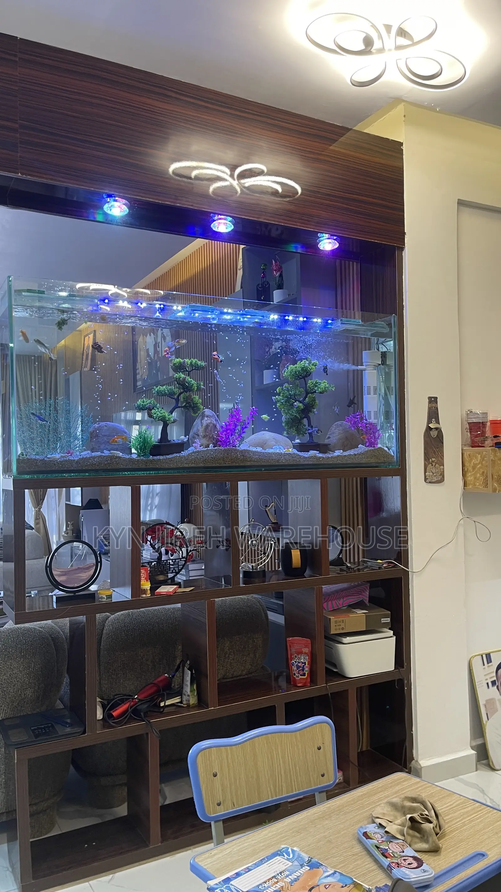 Shelves Mount Aquarium With Fishes