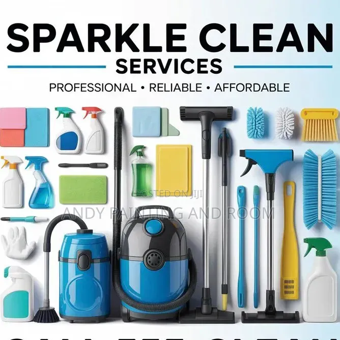 Spotless Results: The Professional Difference