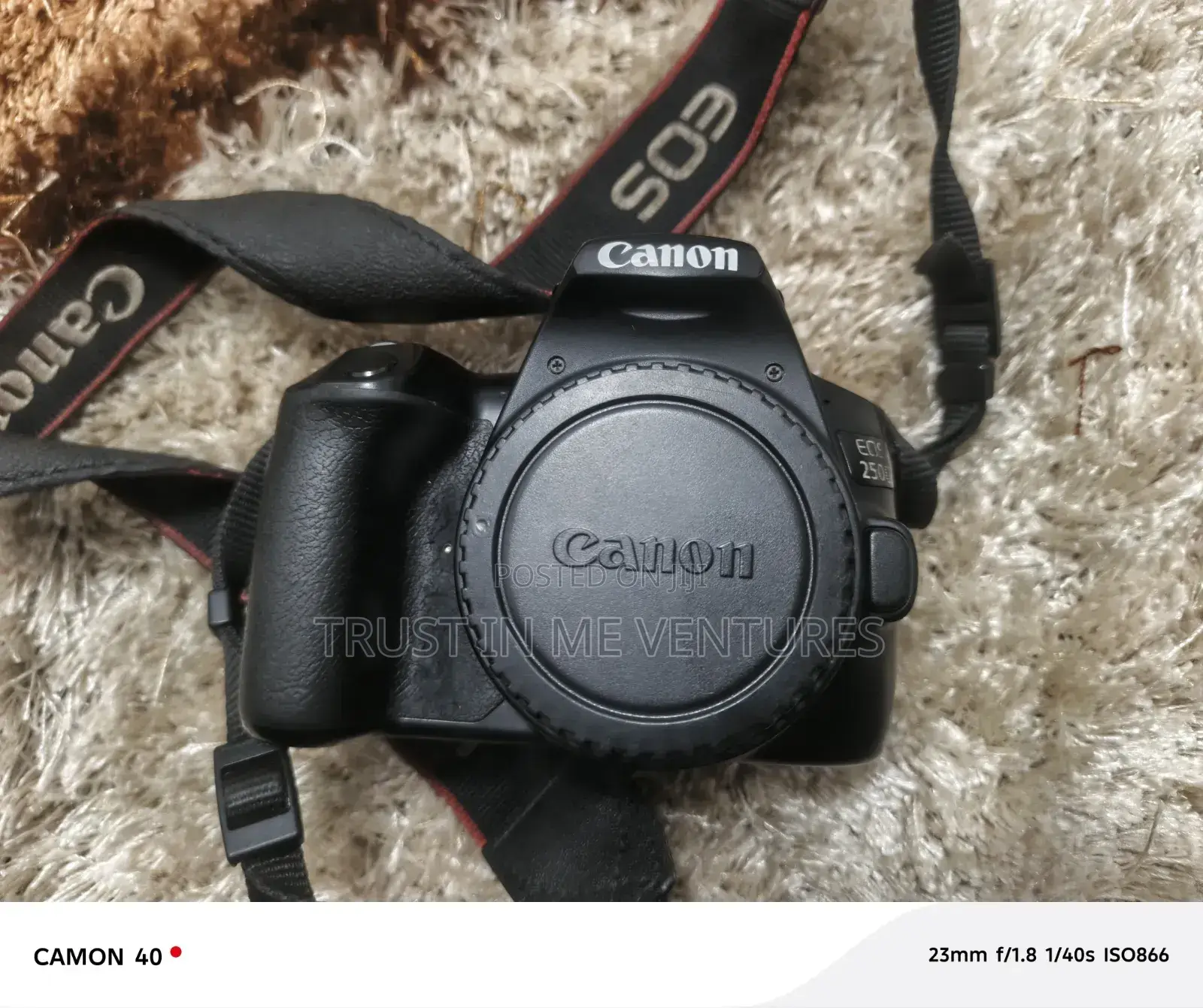 Canon Eos 250d (99% New) With 18-55mm and New 50mm F/1.4 Lens for Sale