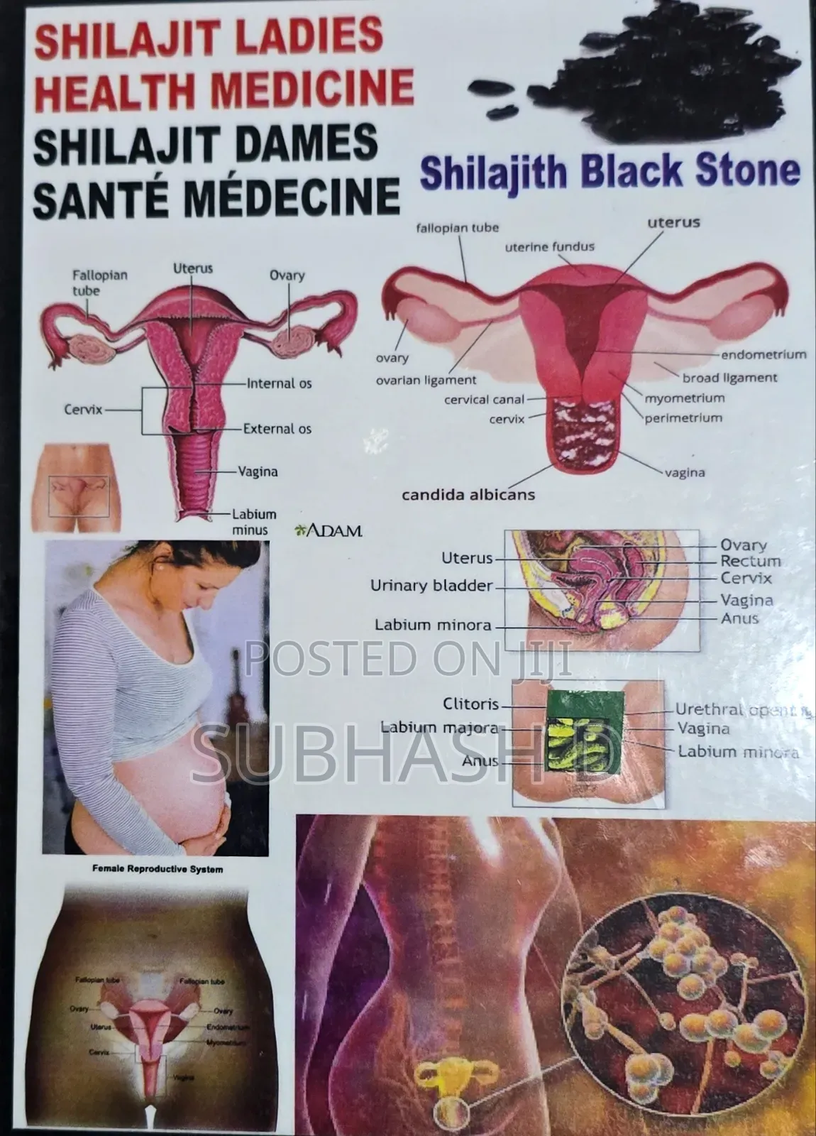 Shilajit Black Stone