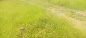 Well Serviced Land for Sale at Winneba