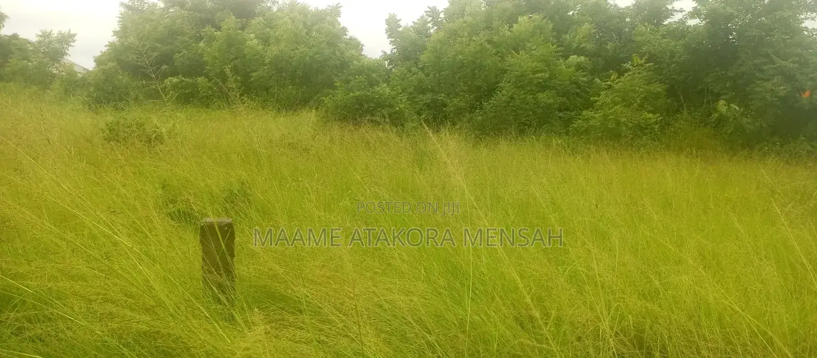 Well Serviced Land for Sale at Winneba