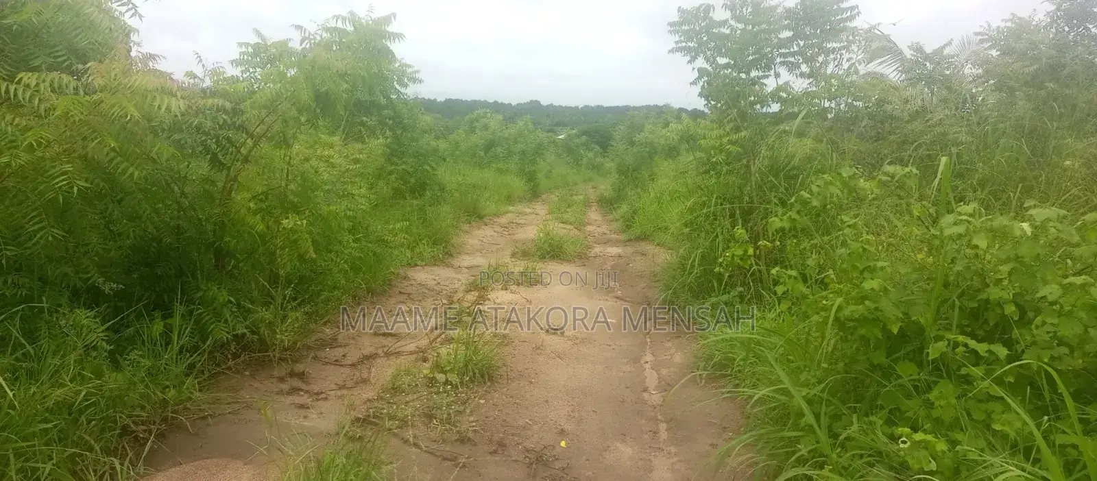 Well Serviced Land for Sale at Winneba
