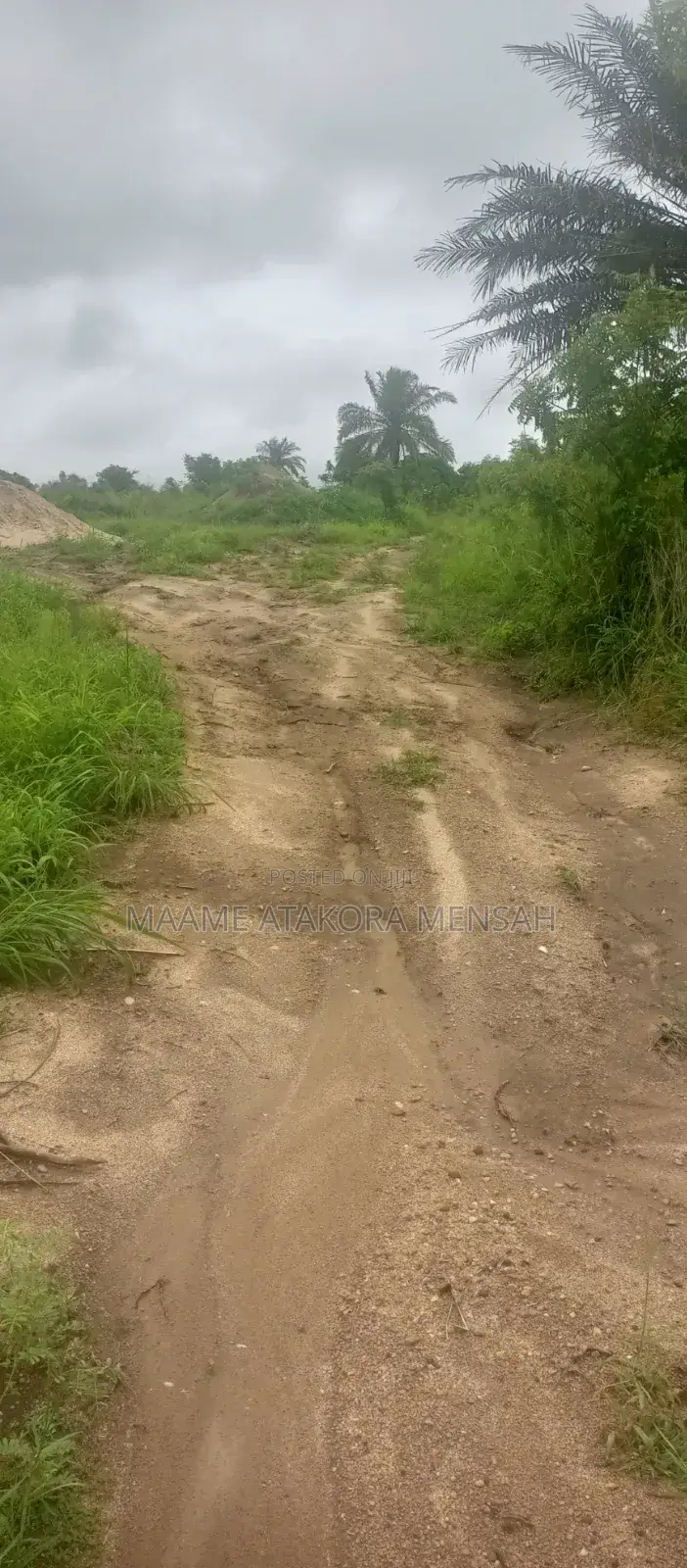 Well Serviced Land for Sale at Winneba